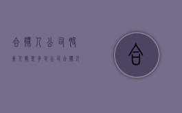 合伙人公司股东人数是多少（公司合伙人多了好吗）