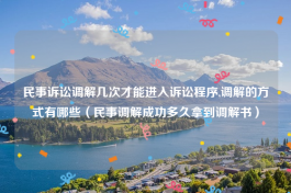 民事诉讼调解几次才能进入诉讼程序,调解的方式有哪些（民事调解成功多久拿到调解书）