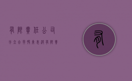 有限责任公司分立合并股东表决（有限责任公司分立的两种形式）