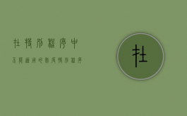在特别程序中不能适用的制度（特别程序不适用辩论原则）