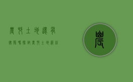 农村土地还有律师吗？探讨农村土地纠纷中的法律服务现状与未来