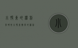 小股东的权利有哪些（小股东拥有的权利）