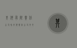 其他有限责任公司和其他责任公司（其它有限责任公司和有限责任公司）