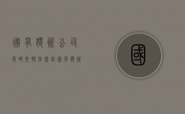 国有独资公司有哪些特别规定（国有独资公司有哪些特殊规定）