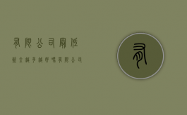 有限公司最低资金越多越好吗（有限公司最低限额）
