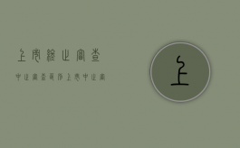 上市终止审查中止审查区别（上市中止审查意味着什么问题）