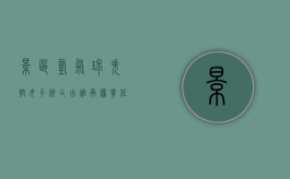 景区氢气球失控母子坠亡由谁承担责任（氢气球失事）
