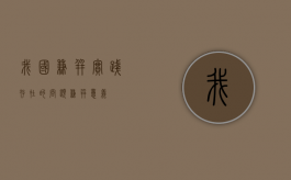 我国兼并实践存在的问题（兼并意义）