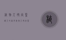 植物人确定监护人的程序（植物人确定监护人的程序）