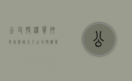 公司股权质押是否能设立子公司（股权质押可以给多个主体吗）