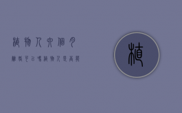 植物人六个月离婚可以吗？（植物人是否能提起离婚诉讼）