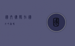 国内律师在国外吃香吗？