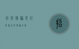 招摇撞骗是什么罪（招摇撞骗行为）