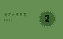 双规具体是怎样适用的