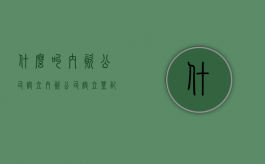 什么叫内资公司设立（内资公司设立登记流程）