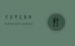 打死野生动物犯法吗（打死野生动物算正当防卫吗）
