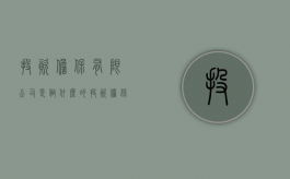 投资担保有限公司是做什么的（投资担保人承担的责任有哪些）