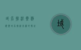 域名抢注案例视频（域名抢注行为的特征）