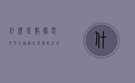 什么是数据电文,可以通过计算机订立合同吗（数据电文的形式要求有哪些规定?）