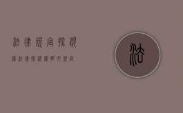 法律规定探视权（法律探视权明文规定）
