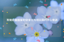 发现危害国家的安全行为可以拨打什么电话
