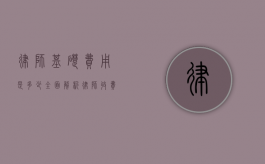 律师基础费用是多少？全面解析律师收费标准和影响因素