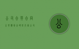公司合并合同主要应包含哪些内容（公司合并范围）