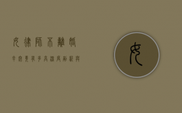 女律师不离婚率究竟有多高？深度剖析与思考