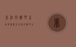 非法收购野生动物罪量刑（非法收购野生动物判刑案例）