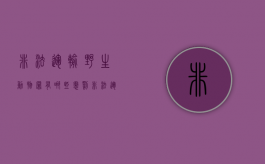 非法运输野生动物罪有哪些惩罚（非法运输野生动物是哪个处罚）