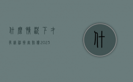 什么情况下才有精神损害赔偿（2023年国家赔偿最新标准）