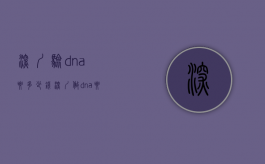 深圳验dna要多少钱（深圳做dna要去哪个医院）