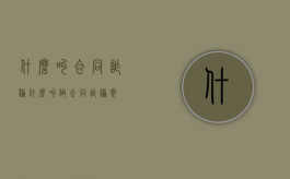 什么叫合同诈骗（什么叫做合同诈骗案）
