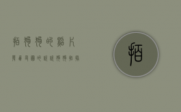 拍狗狗的照片发朋友圈的说说（狗狗拍摄技巧）