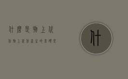 什么是物上代位（物上代位产生的基础是什么）