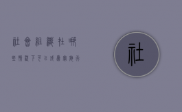 社会组织在哪些情况下可以成为实施行政许可的主体（社会组织的行政主体地位）
