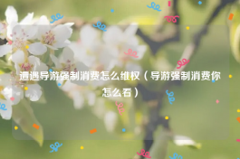 遭遇导游强制消费怎么维权（导游强制消费你怎么看）