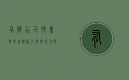 有限公司股东变更流程图片（有限公司股东变更流程图表）
