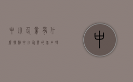 中小企业有什么特点（中小企业的基本特点）