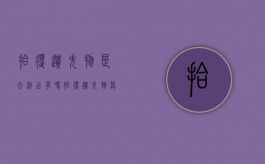 拾得遗失物是合法占有吗？（拾得遗失物算法律行为吗）