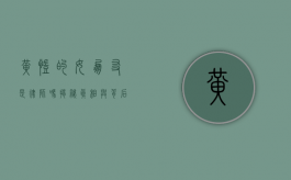 黄凯的女朋友是律师吗？揭秘真相与背后的故事