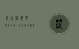 沈阳抚养费一般多少钱一年（沈阳市抚养费一般多少）