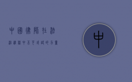 中国律师，在法治进程中不可或缺的力量