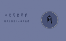 向人民法院提供执行担保的，由谁提供（执行中提供担保的规定）