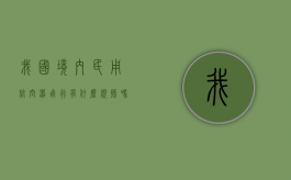 我国境内民用航空器飞行有什么规则吗（我国境内民用航空器飞行有什么规则和要求）