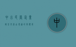 中小民营企业转型升级出现过的问题有哪些（民营企业中小企业在我国发展的现状）