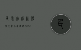 民间借贷精神损失费赔偿标准2020规定（民间借贷精神损失费赔偿标准2020最新）