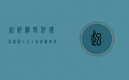 起诉离婚法律流程图片大全（起诉离婚法律流程图解）
