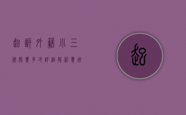 起诉外籍小三律师费多少？详细解析费用构成与法律建议