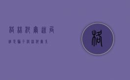 格林柯尔迷局：谁是骗子（格林科尔系）